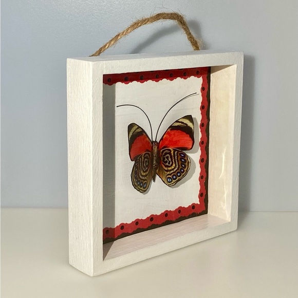 Butterfly Shadow Box - Picture 2 of 3